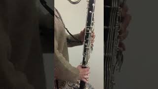 Download lagu 【練習動画】動物の謝肉祭より「象」 / サン=サーンス mp3