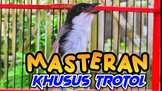 Download lagu suara MASTERAN CENDET gacor isian bukan GEREJA TARUNG khusus CENDET TROTOL materi TEMBAKAN mp3 Download lagu suara MASTERAN CENDET gacor isian bukan GEREJA TARUNG khusus CENDET TROTOL materi TEMBAKAN mp3