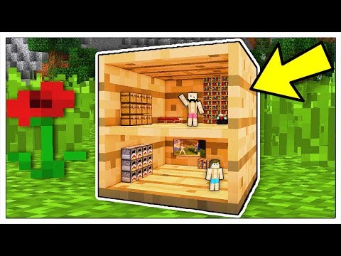SI PUÒ COSTRUIRE UNA CASA DENTRO UN BLOCCO DI MINECRAFT ITA?