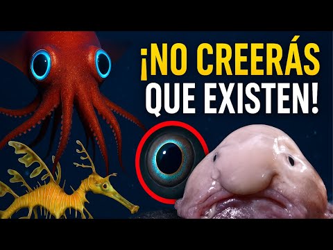 TOP 5 ANIMALES MÁS RAROS DEL OCÉANO | Criaturas marinas que parecen de otro planeta 🐙 #curiosidades