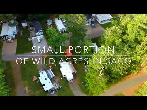 More editing, Zero the Zino in Maine on vacation