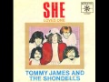 Tommy James & The Shondells ‎Loved One