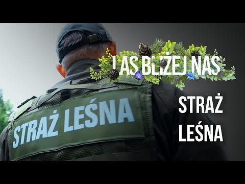 The Forest Closer to Us - Forest Guard