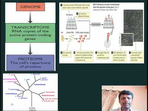 1 Introduction to Comparative Genomics