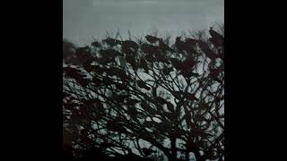 Indochine - 7000 danses (instrumental)