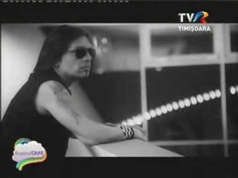 Desant la Regional Cafe (TVR TM - 15 11 2013)