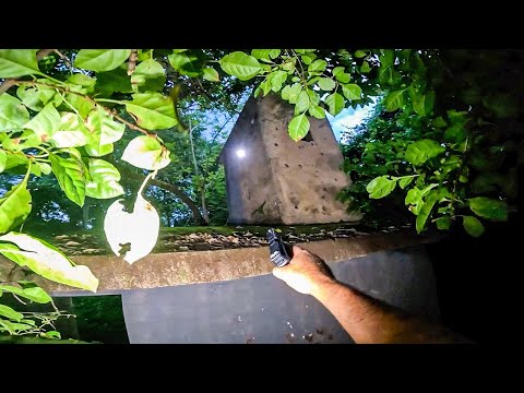 A CRIATURA PARTIU PARA CIMA E TIVEMOS QUE SAIR ÀS PRESSAS