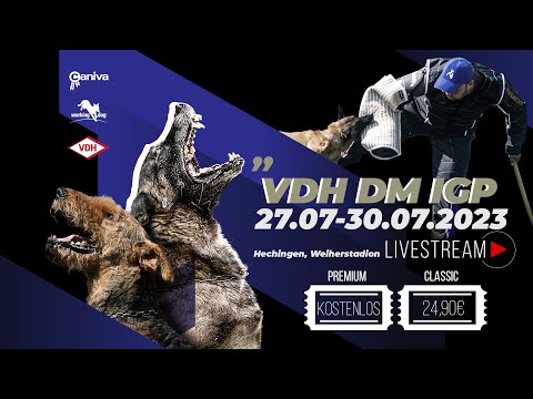 Livestream Trailer // VDH DM IGP 2023 // Working-Dog
