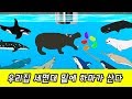 Hippo Lives Under The Wash Basin Animals Animation For Children CollectaㅣCoCosToy