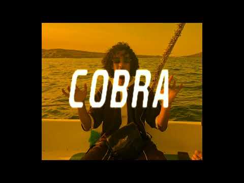 [FREE] SILVA X HOODBLAQ X MUSSO Type Beat "COBRA" (prod by egge) SILVA GLOBAL TYPE Beat 2023