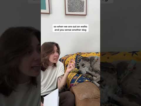 Ick List For My Dogs 🐶 w OnlyJayus - #Shorts