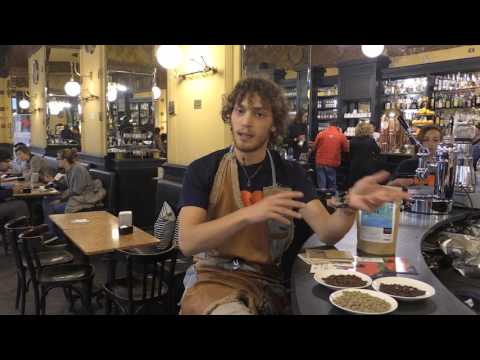 Dal Chicco alla Tazzina - IO BEVO CAFFE DI QUALITA Trieste 2016