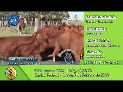 7-2-19 - Remate Televisado de CAMPOS Y GANADOS S.A. -  Capital Federal