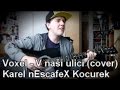 Voxel - ''V naší ulici'' Cover (na akustickou ...