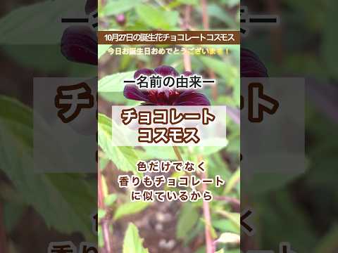 あなたの庭に絶対に置きたいチョコレートのような香りの植物を5つ以上！  庭園