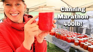 I Canned 400 lbs of Tomatoes in 24 Hours | Expert Canning Tips & Workflow