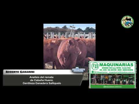Roberto Gabarini- Analisis del remate de cabaña Huenu en SALLIQUELLO-BS.AS.