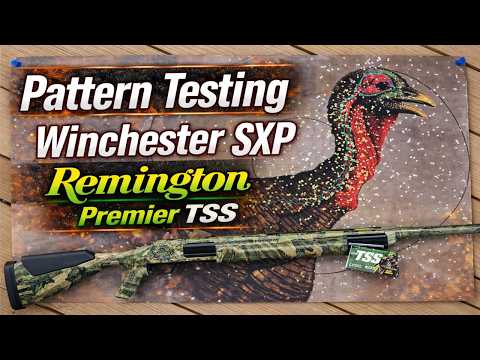 Winchester TSS 20 Gauge Versus Winchester Long Beard XR - WHO WILL WIN?
