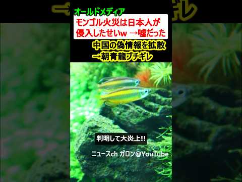 オールドメディア「モンゴル火災は日本人のせい」 →嘘だった…中国の偽情報を拡散、朝青龍が激怒
