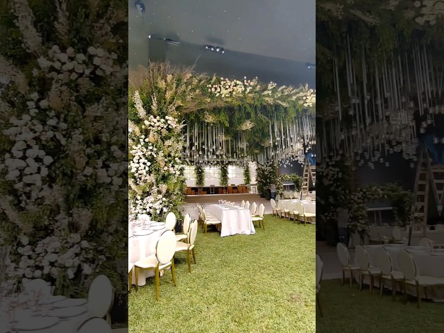 Vídeo relacionado con Hnmdmyi 2.1x1.5m Telón de Fondo Bosque Encantado Jardín Bosque Mágico Fantasía País de Las Maravillas Hongo Mariposa Bosque Fondo de Fotografía Niñas Princesa Fiesta de Cumpleaños Decoraciones