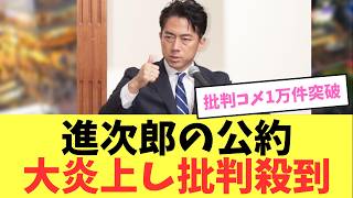 【速報】小泉進次郎農水大臣、自民党総裁選の公約がトンチンカンで大炎上【小泉進次郎・自民党総裁・公約】