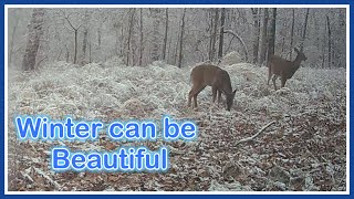 CHECK THIS OUT! Beautiful Winter video, Except for the ICICLE