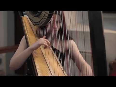 La Belle Noiseuse by Dominic Sewell // Amy Turk, Harp