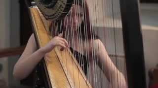 La Belle Noiseuse by Dominic Sewell // Amy Turk, Harp