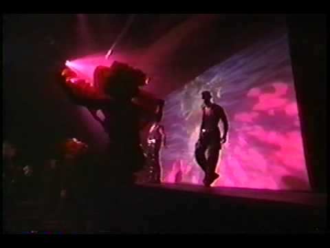 www.KevinStea.com - Dolphin - Prince's Dance Show 'Ulysses' at Glam Slam 1992