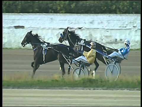 Trotto 20/03/2016 - 6° corsa