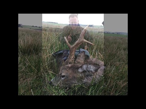 Gold Medal Buck Harvest by Ander's & Finn's Malform Buck