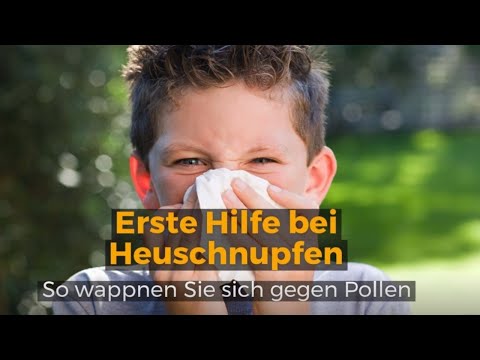 Hilfe bei Heuschnupfen - so wappnen Sie sich gegen Pollen