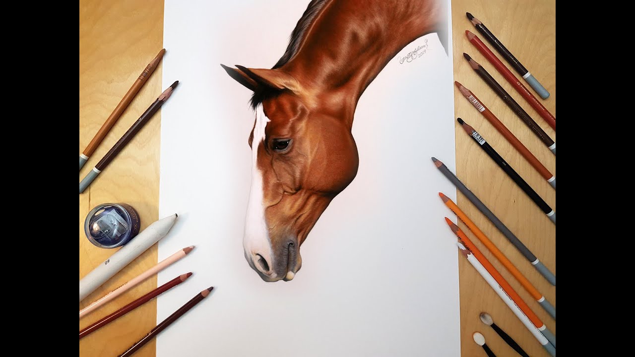 Drawing a Horse | Pastel Pencils on Paper | KazemFineArt