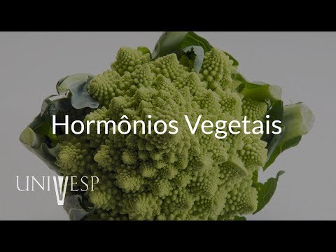 Plant Physiology - Class 05 - Plant Hormones