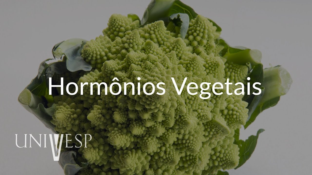 Fisiologia Vegetal - Aula 05 - Hormônios vegetais