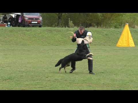 MM MSKS Zbraslav 2019 - Táňa Štefková - Cher Suché Lazce - obrana/defense