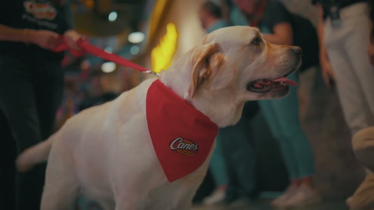 Raising Canes | Ali Afroj Arnab