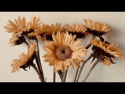 Briga o roditeljima.