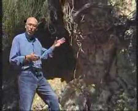 Homer's Ithaca Rediscovered