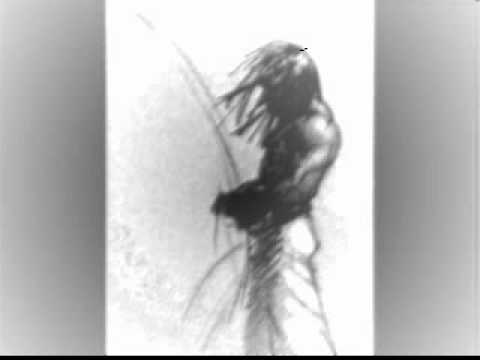 tristeza mora comigo