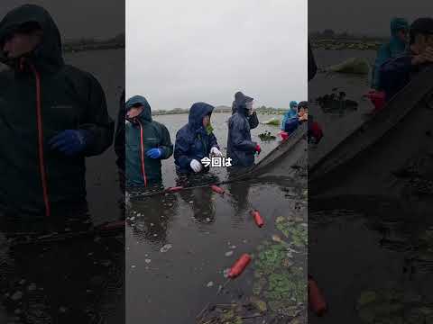 海洋生物・環境科学実習（湖沼調査編）