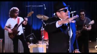 Blues Brothers Concert Intro