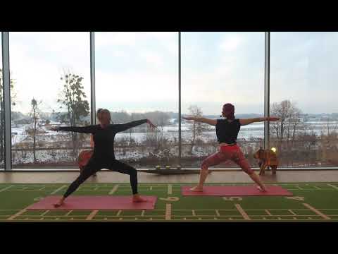 YIN & YANG YOGA mit Johanna & Stephanie - ONLINE YOGA - ONLINE KURSE