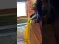 Malavika Menon Hot