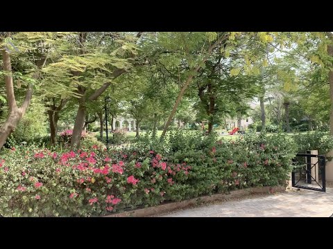Property video thumbnail
