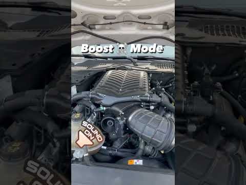 Gen 5 Whipple supercharger is a proven performer on the 5.0L coyote