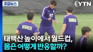 태백산 높이에서 치르는 월드컵, 몸은 어떻게 반응할까? / YTN