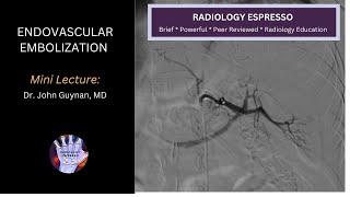 ENDOVASCULAR EMBOLIZATION: Mini Lecture, Dr. John Guynan, MD