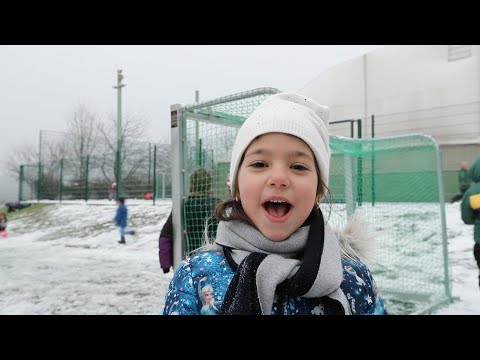 The American International School