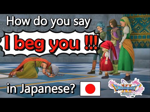 How do you say "I beg you!!!" in Japanese Language? | Dragon Quest 11